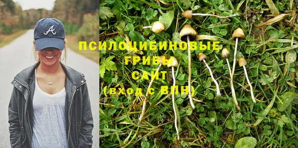 спайс Беломорск