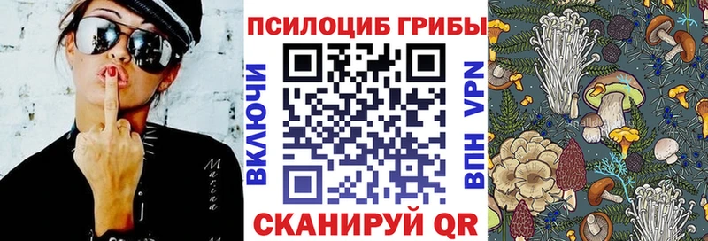 Псилоцибиновые грибы Psilocybe Озёрск